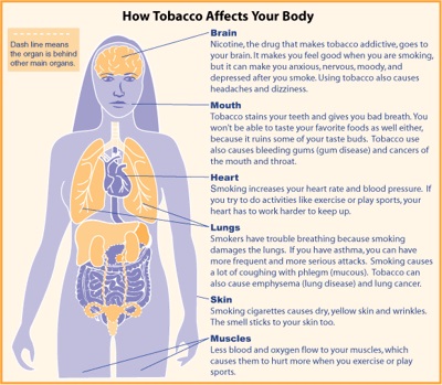 How tobacco affects your body